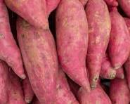 Sweet Potatoes