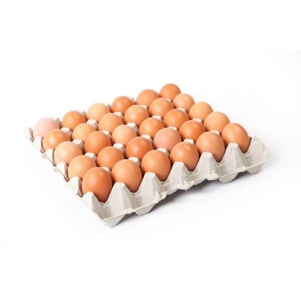 Tray of Eggs