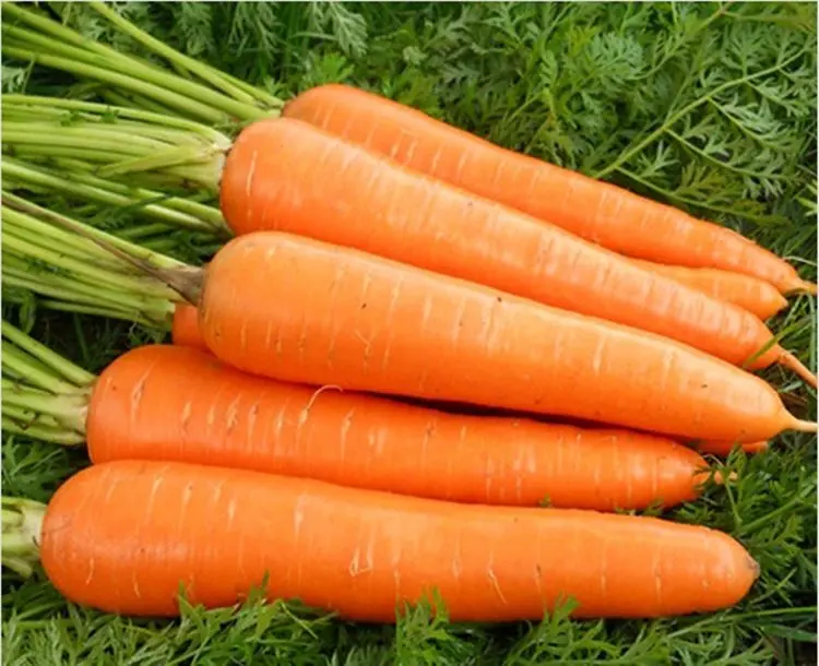 Carrots