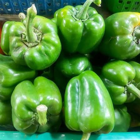 Green Bell pepper